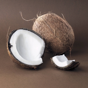 homegrown nursery kuttiyadi coconut