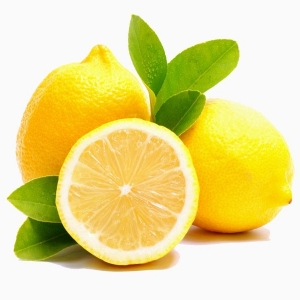 Lemon citrus homegrown nursery
