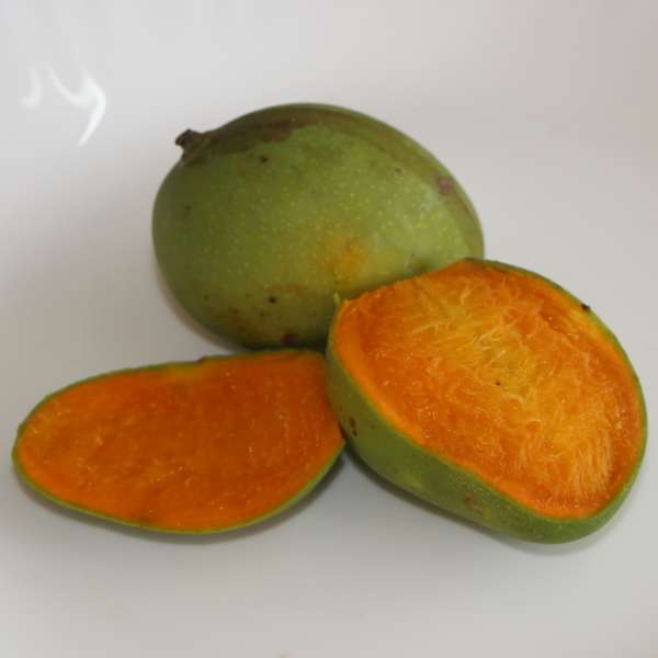 homegrown chakkara mango