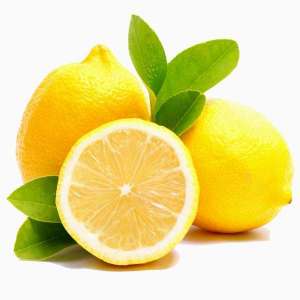 Seedless lemon homegrown nursery