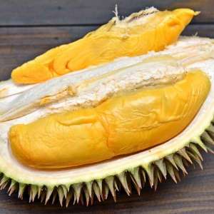 Durian 101 d168