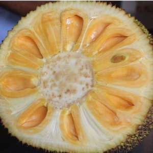 orange jackfruit